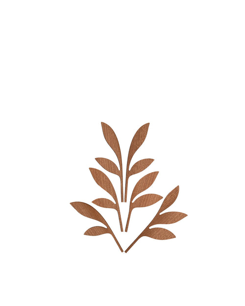 The Five Seasons Default Title Fragrance diffuser leaves. Ahhh Alessi